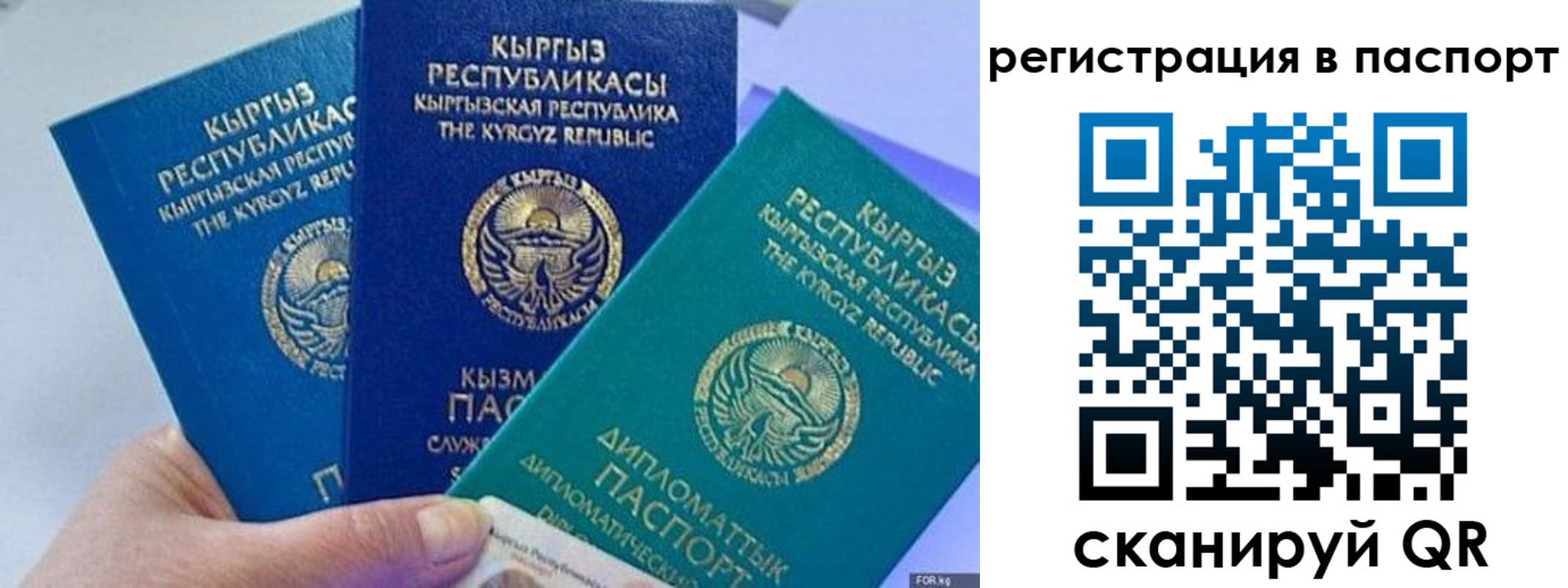 прописка 2025 в Череповце